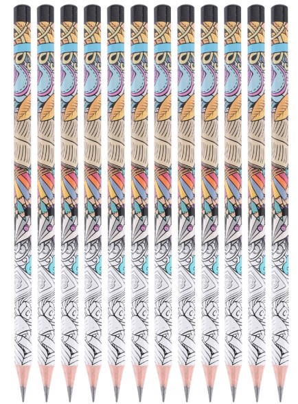 Набор карандашей ч/г Deli EU53300 Arti Graff 2B шестигран. тополь рисунок кор.европод. (12шт)