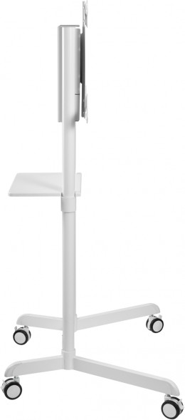 Стойка для телевизора Cactus CS-ST1146WT белый 37&amp;quot;-70&amp;quot; макс.70кг напольный мобильный