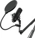 Микрофон проводной Оклик SM-700G 2.5м черный