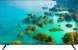 Телевизор LED Haier 50&amp;quot; LED S2 Frameless черный 4K Ultra HD 60Hz MEMC DVB-T DVB-T2 DVB-C DVB-S DVB-S2 USB WiFi Smart TV