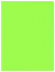 Папка с 10 прозр.вклад. Бюрократ Double Neon DNE07V10LETT A4 пластик 0.7мм салатовый