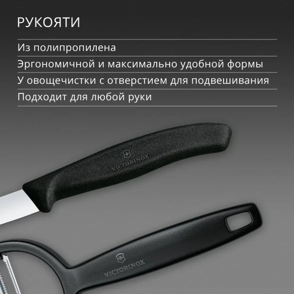 Набор нож/овощеч. Victorinox Swiss Classic 6.7113.22 компл.:2предм. черный европодвес
