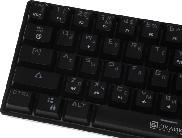 Клавиатура Оклик K713X механическая черный USB Multimedia for gamer LED