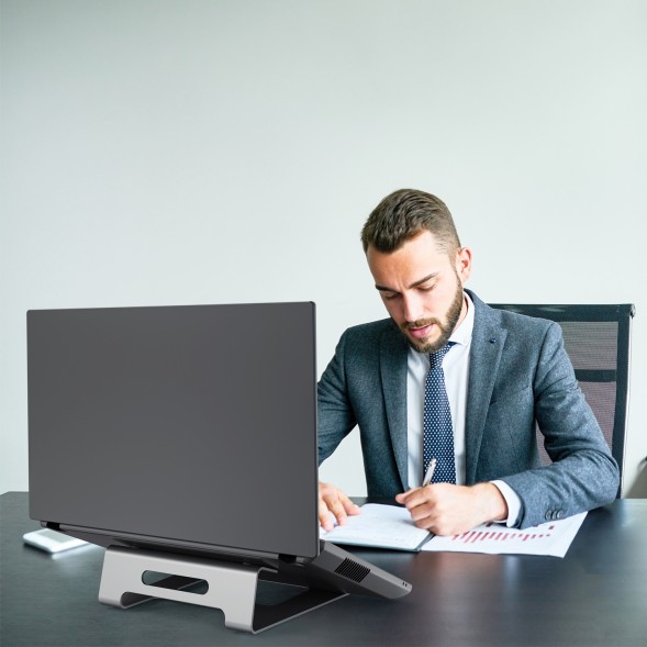 Подставка Cactus для ноутбука серебристый (CS-NB-AL)