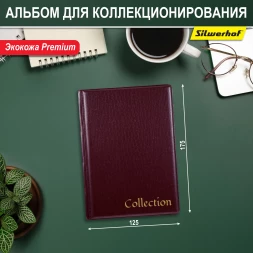 Папка с 10 прозр.вклад. Silwerhof Create ПВХ 0.25мм бордовый