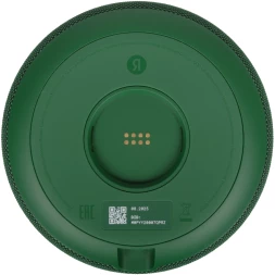 Умная колонка Yandex Станция Мини 3 Про Алиса зеленый 18W 1.0 BT/Wi-Fi (YNDX-00059GRN)