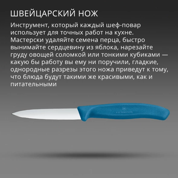 Нож кухонный Victorinox Swiss Classic (6.7602.C1) стальной универсальный для чистки овощей и фруктов лезв.80мм прямая заточка синий