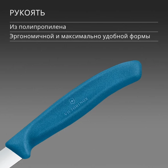 Нож кухонный Victorinox Swiss Classic (6.7602.C1) стальной универсальный для чистки овощей и фруктов лезв.80мм прямая заточка синий