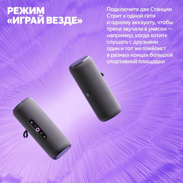 Умная колонка Yandex Стрит Алиса фиолетовый 30W 2.0 BT/Wi-Fi 10м 3300mAh (YNDX-00030VIO)