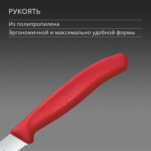 Нож кухонный Victorinox Swiss Classic (6.7831.C1) стальной столовый для овощей лезв.110мм серрейт. заточка красный