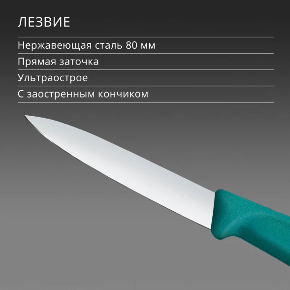 Нож кухонный Victorinox Swiss Classic (6.7604.C1) стальной универсальный для чистки овощей и фруктов лезв.80мм прямая заточка зеленый