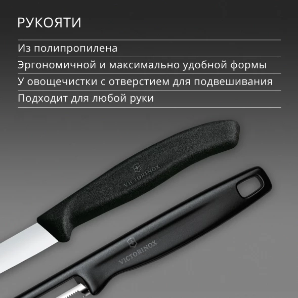 Набор нож/овощеч. Victorinox Swiss Classic 6.7113.21 компл.:2предм. черный европодвес