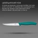 Нож кухонный Victorinox Swiss Classic 6.7234.C1 стальной универсальный для стейка/пиццы лезв.110мм серрейт. заточка зеленый