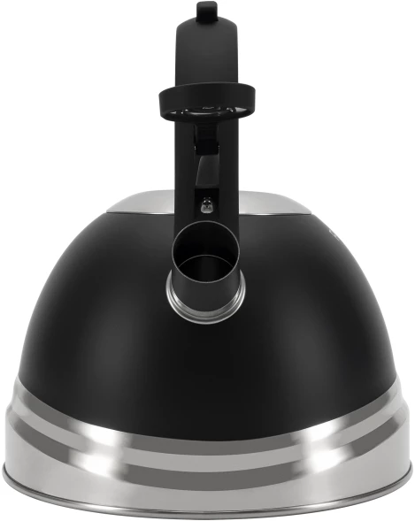 Чайник металлический Rondell Walzer RDS-1827 2.7л. черный