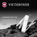 Нож перочинный Victorinox Classic SD Chocolate Fugde (0.6223.T55G) 58мм 7функц. подар.коробка