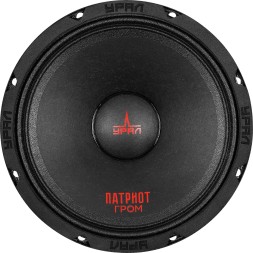 Колонки автомобильные Ural АС-ПТ165.2 ГРОМ (без решетки) 600Вт 99.7дБ 4Ом 16.5см (6 1/2дюйм) (ком.:1кол.) широкополосные однополосные