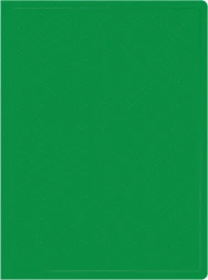 Папка с 20 прозр.вклад. Silwerhof Eco A4 пластик 0.5мм зеленый