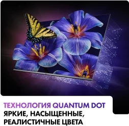 Телевизор QLED Haier 55&amp;quot; Smart TV S4 Frameless серый 4K Ultra HD 60Hz MEMC DVB-T DVB-T2 DVB-C DVB-S2 USB WiFi Smart TV