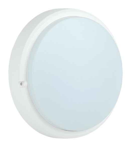 Светильник IEK ДПО 12Вт 6500K белый (LDPO0-4006-12-6500-K01)