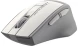 Мышь A4Tech Fstyler FG30S белый/серый оптическая (2000dpi) silent беспроводная USB (6but)