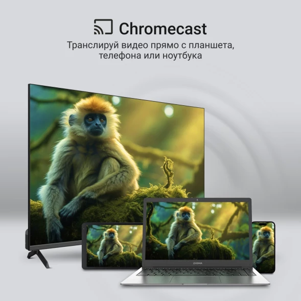 Телевизор QLED Digma 65&amp;quot; DM-LED65UQB31 Google TV Frameless Metal черный/черный 4K Ultra HD 60Hz MEMC DVB-T DVB-T2 DVB-C DVB-S DVB-S2 USB WiFi Smart TV