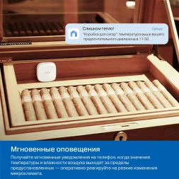 Датчик темпер./влажн. TP-Link Tapo T310 белый