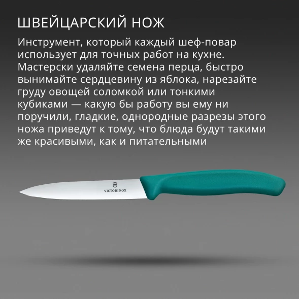 Нож кухонный Victorinox Swiss Classic (6.7704.C1) стальной универсальный для чистки овощей и фруктов лезв.100мм прямая заточка зеленый