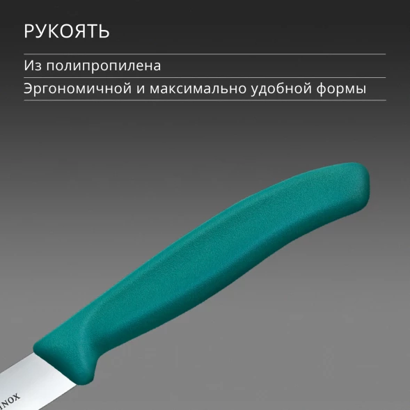 Нож кухонный Victorinox Swiss Classic (6.7704.C1) стальной универсальный для чистки овощей и фруктов лезв.100мм прямая заточка зеленый