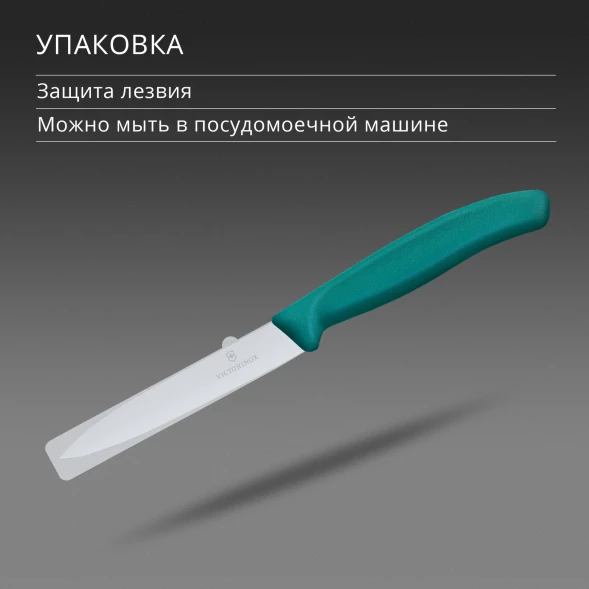 Нож кухонный Victorinox Swiss Classic (6.7704.C1) стальной универсальный для чистки овощей и фруктов лезв.100мм прямая заточка зеленый
