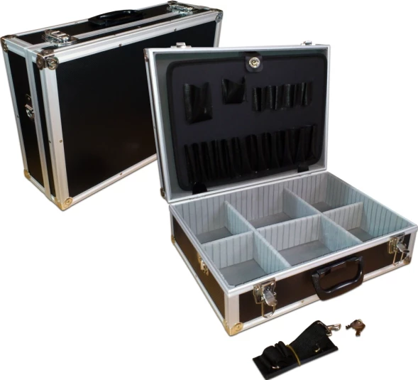 Ящик для инструментов Lanmaster TWT-CASE 6отд. черный
