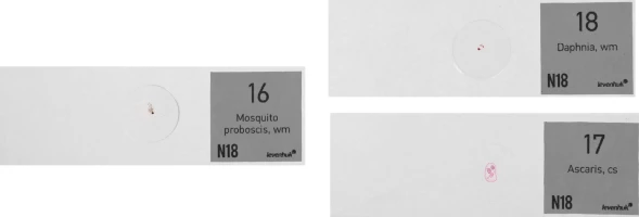 Набор микропрепаратов Levenhuk N18 NG 83предм. прозрачный/черный/оранжевый (29276)