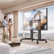 Стойка для телевизора Onkron TS2821 черный 70&amp;quot;-110&amp;quot; макс.145кг напольный мобильный