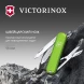 Нож перочинный Victorinox Classic SD Smashed Avocado (0.6223.43G) 58мм 7функц. подар.коробка