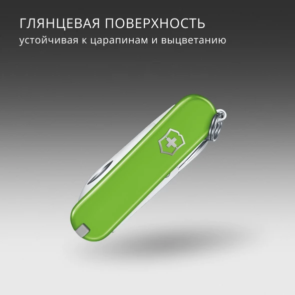 Нож перочинный Victorinox Classic SD Smashed Avocado (0.6223.43G) 58мм 7функц. подар.коробка