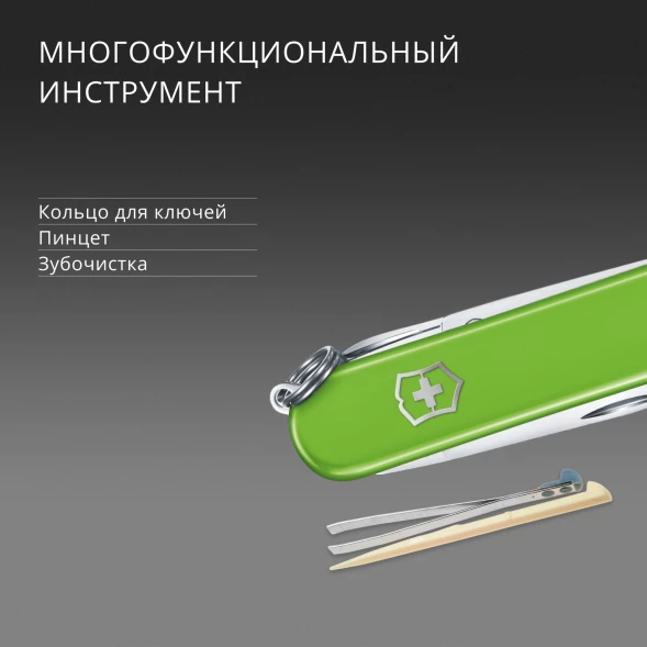 Нож перочинный Victorinox Classic SD Smashed Avocado (0.6223.43G) 58мм 7функц. подар.коробка