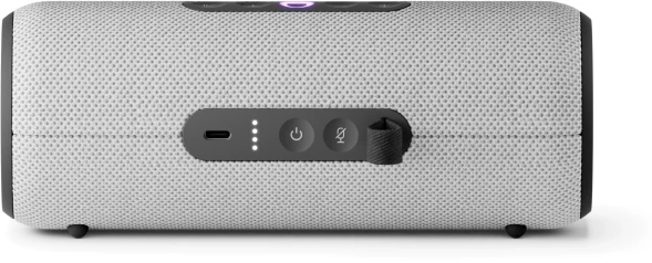 Умная колонка Yandex Стрит Алиса серый 30W 2.0 BT/Wi-Fi 10м 3300mAh (YNDX-00030GRY)