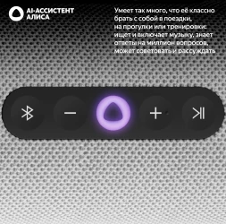 Умная колонка Yandex Стрит Алиса серый 30W 2.0 BT/Wi-Fi 10м 3300mAh (YNDX-00030GRY)