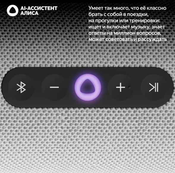 Умная колонка Yandex Стрит Алиса серый 30W 2.0 BT/Wi-Fi 10м 3300mAh (YNDX-00030GRY)