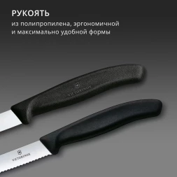 Набор ножей кухон. Victorinox Swiss Classic 6.7603.2 для овощей компл.:2предм. черный европодвес