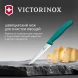 Нож кухонный Victorinox Swiss Classic (6.7734.C1) стальной универсальный для чистки овощей и фруктов лезв.100мм серрейт. заточка зеленый