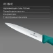 Нож кухонный Victorinox Swiss Classic (6.7734.C1) стальной универсальный для чистки овощей и фруктов лезв.100мм серрейт. заточка зеленый