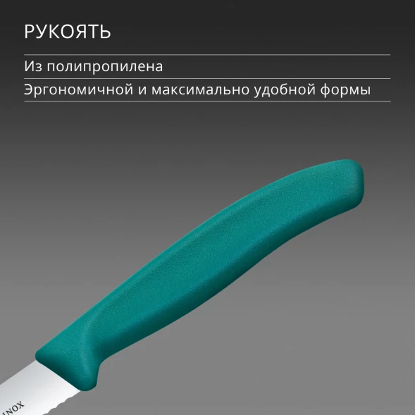 Нож кухонный Victorinox Swiss Classic (6.7734.C1) стальной универсальный для чистки овощей и фруктов лезв.100мм серрейт. заточка зеленый