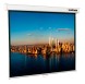 Экран Lumien 110&amp;quot; 203x203см Master Picture LMP-100104 1:1 настенно-потолочный рулонный