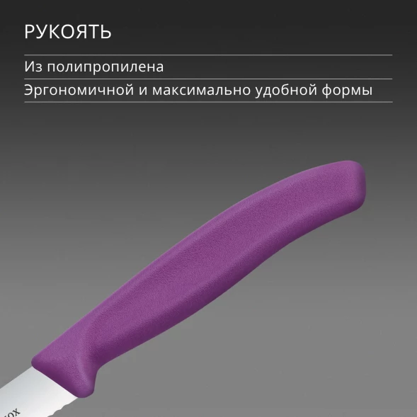 Нож кухонный Victorinox Swiss Classic (6.7735.C1) стальной универсальный для чистки овощей и фруктов лезв.100мм серрейт. заточка пурпурный