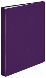 Папка с 100 прозр.вклад. Бюрократ DeLuxe DLVBOX100BBERRY A4 пластик 0.7мм черничный в коробе