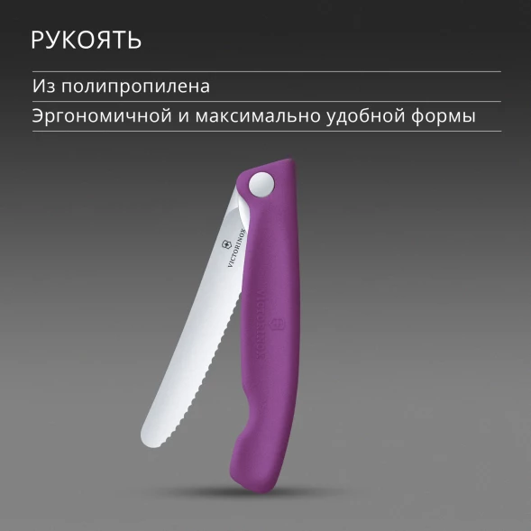 Нож кухонный Victorinox Swiss Classic 6.7835.FC1 стальной универсальный для овощей лезв.110мм серрейт. заточка пурпурный карт.коробка