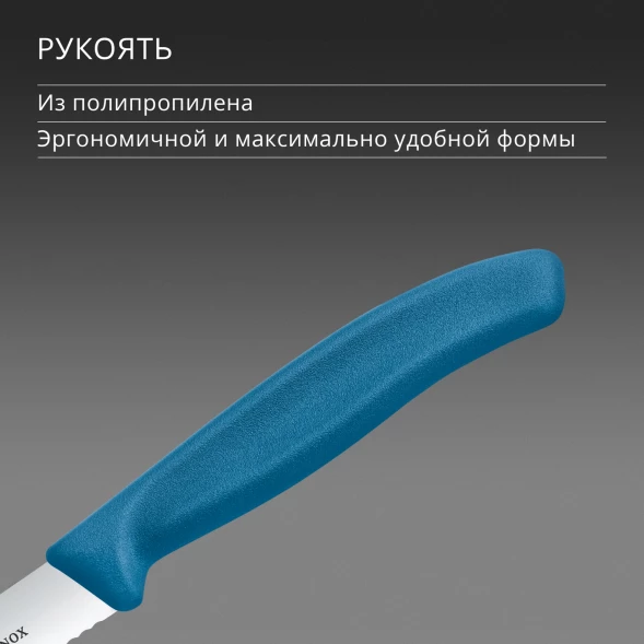 Нож кухонный Victorinox Swiss Classic (6.7732.C1) стальной универсальный для чистки овощей и фруктов лезв.100мм серрейт. заточка синий