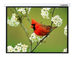 Экран Lumien 165&amp;quot; 305x305см Master Picture LMP-100107 1:1 настенно-потолочный рулонный