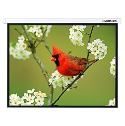 Экран Lumien 81&amp;quot; 171x128см Master Picture LMP-100108 4:3 настенно-потолочный рулонный белый