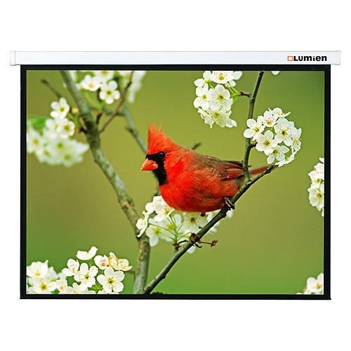 Экран Lumien 81&amp;quot; 171x128см Master Picture LMP-100108 4:3 настенно-потолочный рулонный белый